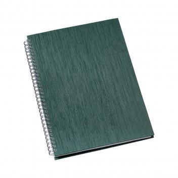 304L-Caderno de Negcios Grande Capa Metalizada Verde.jpg