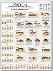 POSTER-48-AGUA-DOCE.jpg