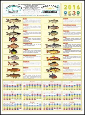 POSTER-48-TM.54X74CM..jpg