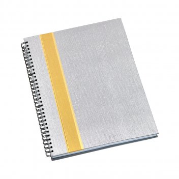 313L-Caderno de Negcios Grande Capa Metalizada Prata com Faixa Ouro.jpg